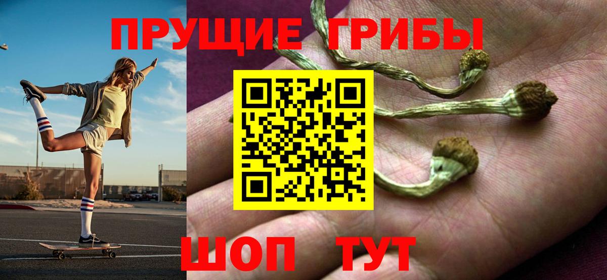 Псилоцибиновые грибы Psilocybe Рославль